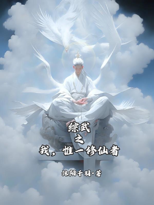综武之我唯一修仙者